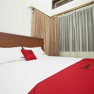 Zimmer mit Queensize-Bett